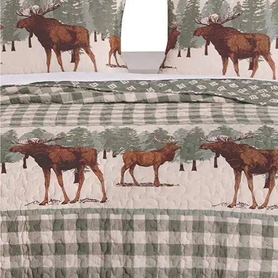 2 Piece Twin Quilt Set, Animal Print, Plaid Pattern Photo 2