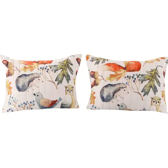 26 x 20 Inches Standard Pillow Sham with Fox and Owl Print Photo 1
