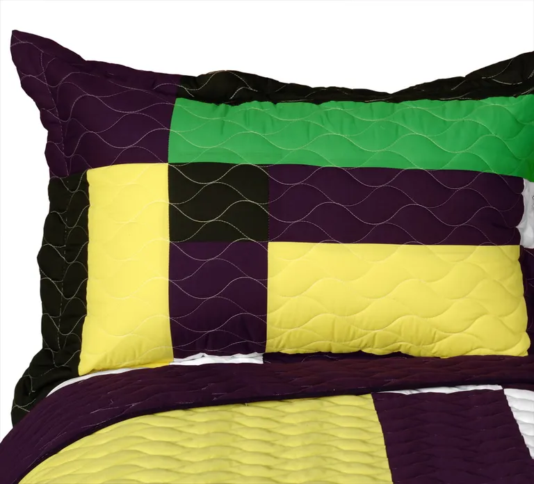 Alocasia - 3PC Vermicelli - Quilted Patchwork Quilt Set (Full/ Size) Photo 2