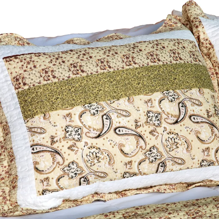 Beige Paisley - Cotton 3PC Vermicelli-Quilted Patchwork Quilt Set (Full/Queen Size) Photo 2