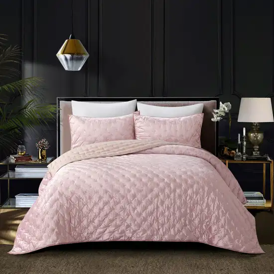 Blush Queen Polyester 220 Thread Count Washable Down Comforter Set Photo 5