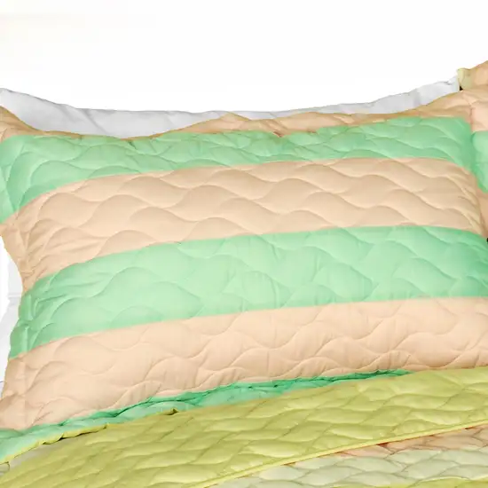 Chic Cookie -  3PC Vermicelli-Quilted Patchwork Quilt Set (Full/Queen Size) Photo 3