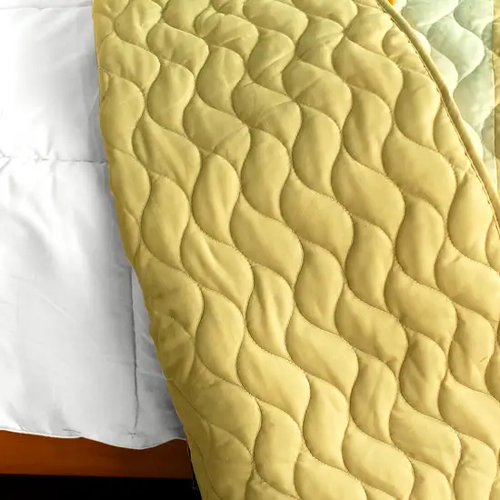 Engagement -  3PC Vermicelli-Quilted Patchwork Quilt Set (Full/Queen Size) Photo 3