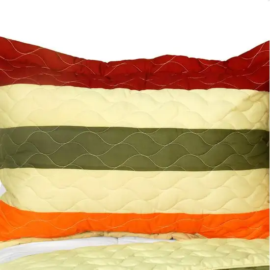 Fanny Lorraine -  3PC Vermicelli-Quilted Patchwork Quilt Set (Full/Queen Size) Photo 2