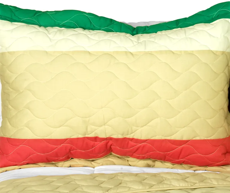 Ferragamo Romantic - 3PC Vermicelli-Quilted Patchwork Quilt Set (Full/Queen Size) Photo 1