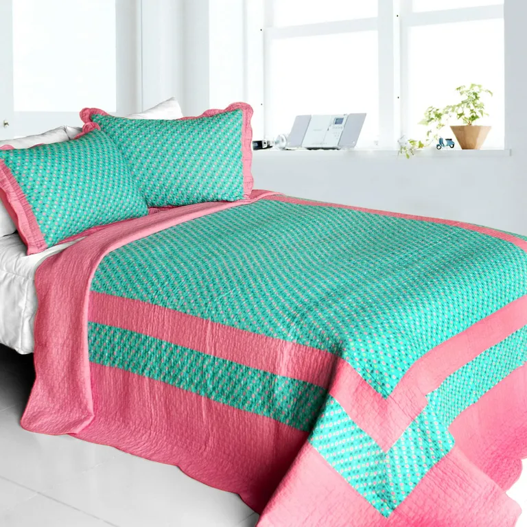 Geek In The Pink - Cotton 3PC Vermicelli-Quilted Striped Printed Quilt Set (Full/Queen Size) Photo 1