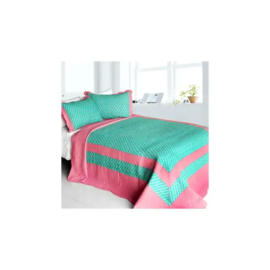 Geek In The Pink -  Cotton 3PC Vermicelli-Quilted Striped Printed Quilt Set (Full/Queen Size) Photo 2