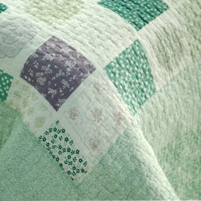 Green Fields - Cotton 3PC Vermicelli-Quilted Printed Quilt Set (Full/Queen Size) Photo 4