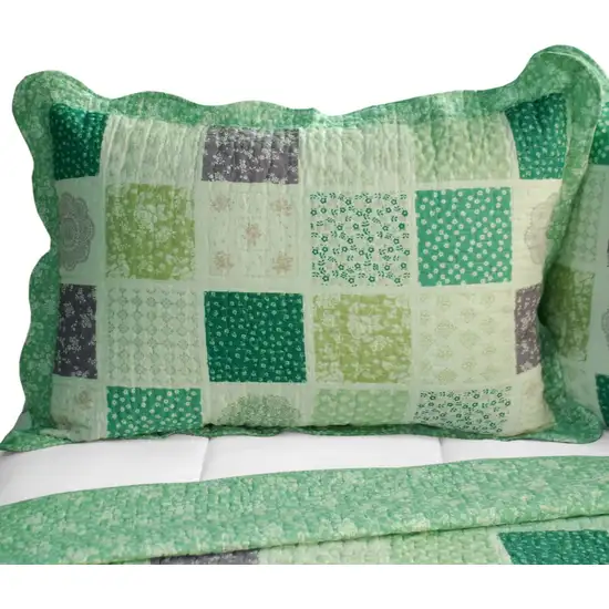 Green Fields -  Cotton 3PC Vermicelli-Quilted Printed Quilt Set (Full/Queen Size) Photo 3