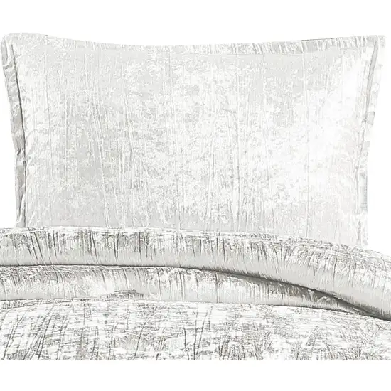 Jay 2 Piece Twin Comforter Set, Polyester Velvet Deluxe Texture Photo 2