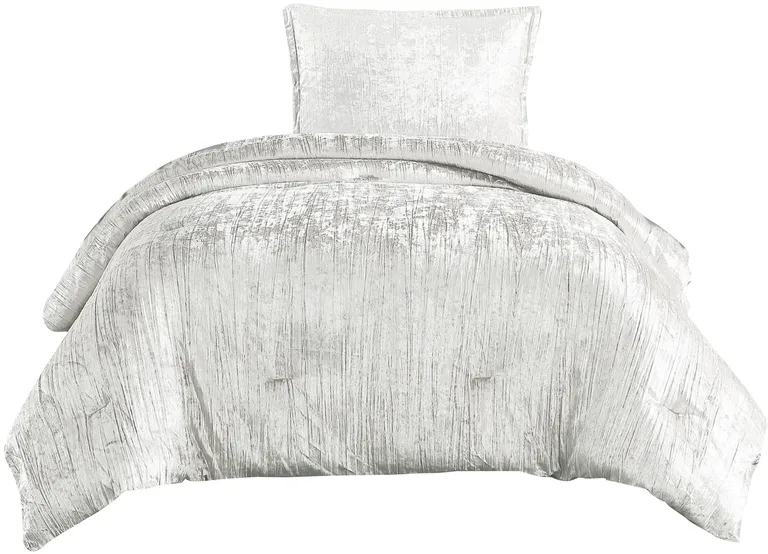 Jay 2 Piece Twin Comforter Set, Polyester Velvet Deluxe Texture Photo 1