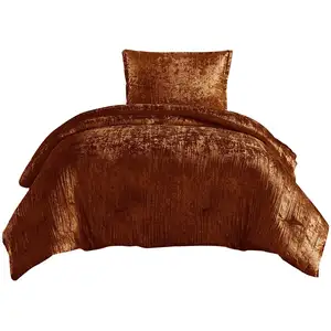 Photo of Jay 2 Piece Twin Comforter Set, Polyester Velvet Deluxe Texture