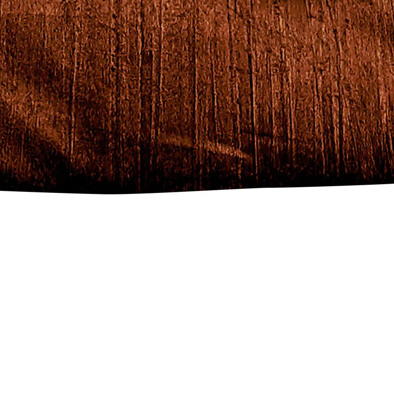Jay 2 Piece Twin Comforter Set, Polyester Velvet Deluxe Texture Photo 4
