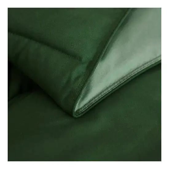 King/Cal King Traditional Microfiber Reversible 3 Piece Comforter Set in Green Photo 4