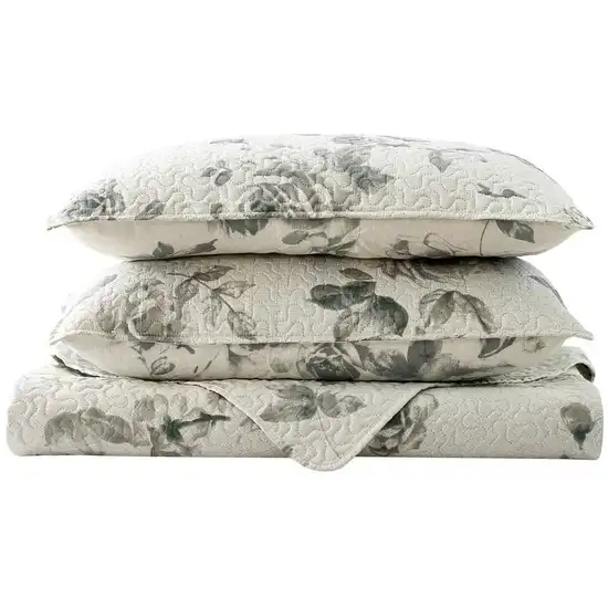 King size Boho Floral Botanical Flowers Beige Grey Reversible Quilt Set Photo 3