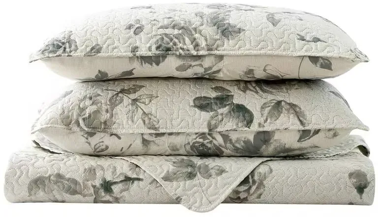 King size Boho Floral Botanical Flowers Beige Grey Reversible Quilt Set Photo 3