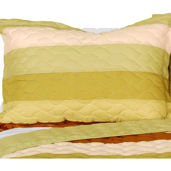 Last Winter -  3PC Vermicelli-Quilted Patchwork Quilt Set (Full/Queen Size) Photo 2