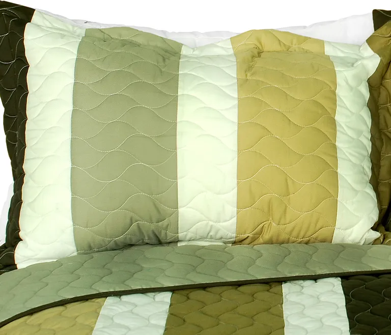 Lost in the Dream - 3PC Vermicelli-Quilted Patchwork Quilt Set (Full/Queen Size) Photo 1