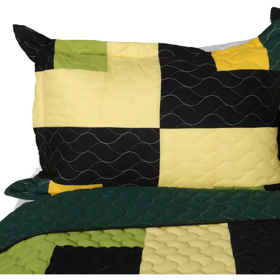 Lucky Break -  3PC Vermicelli-Quilted Patchwork Quilt Set (Full/Queen Size) Photo 3