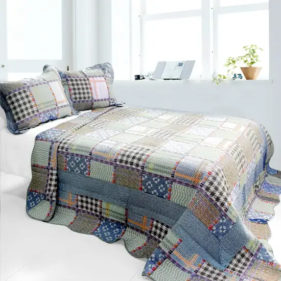 Mixed Feelings -  3PC Cotton Vermicelli-Quilted Printed Quilt Set (Full/Queen Size) Photo 1