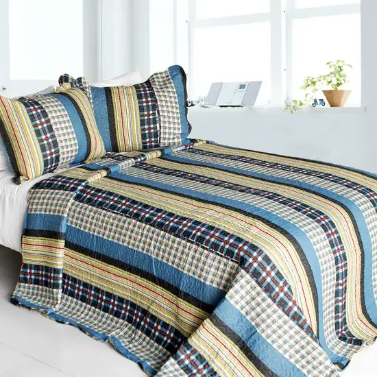 Mr. Curiosity -  Cotton 3PC Vermicelli-Quilted Striped Printed Quilt Set (Full/Queen Size) Photo 1