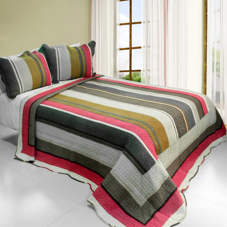 Multicolor Stripe - Cotton 3PC Vermicelli-Quilted Printed Quilt Set (Full/Queen Size) Photo 1