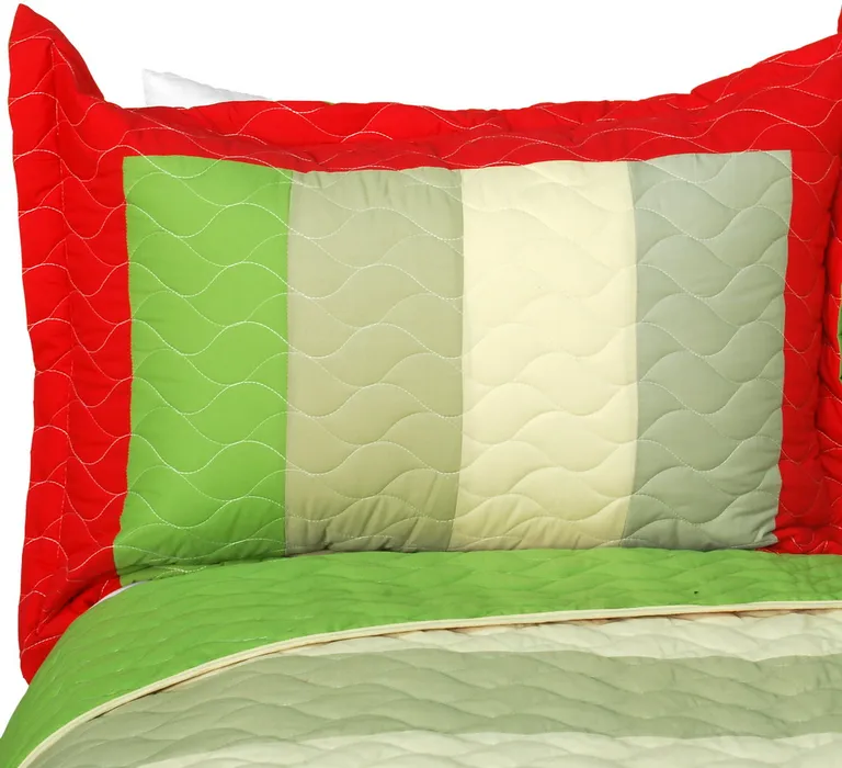 My Backyard - Vermicelli-Quilted Patchwork Geometric Quilt Set Full/Queen Photo 2