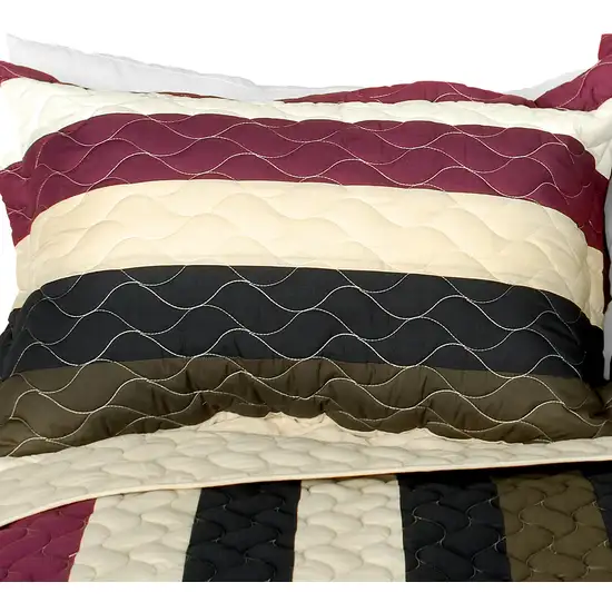 Past Faded -  3PC Vermicelli-Quilted Patchwork Quilt Set (Full/Queen Size) Photo 2