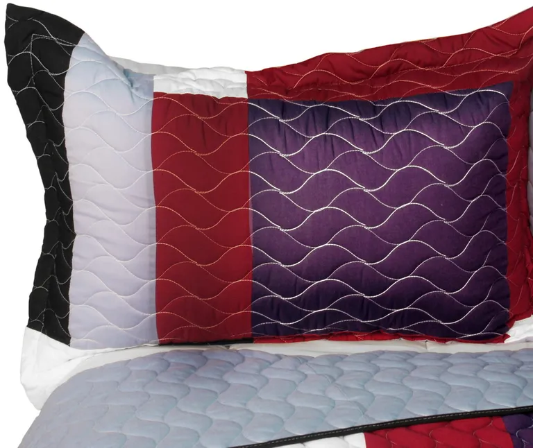Pretty Raisin - 3PC Vermicelli - Quilted Patchwork Quilt Set (Full/Queen Size) Photo 2