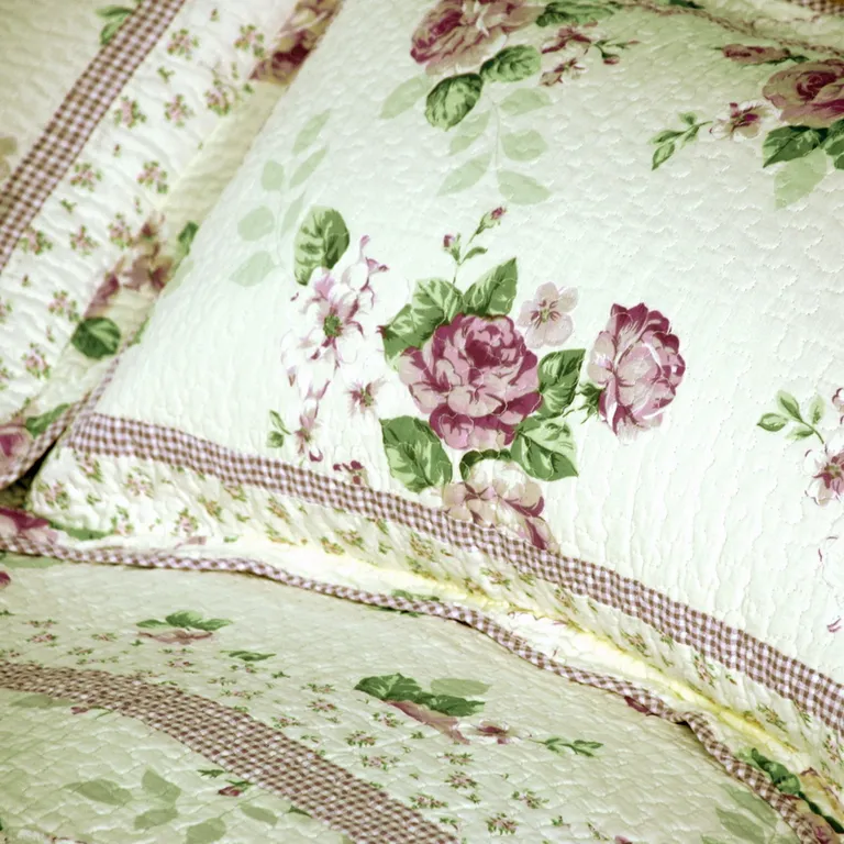 Rowena - 100% Cotton 3PC Floral Vermicelli-Quilted Patchwork Quilt Set (Full/Queen Size) Photo 2