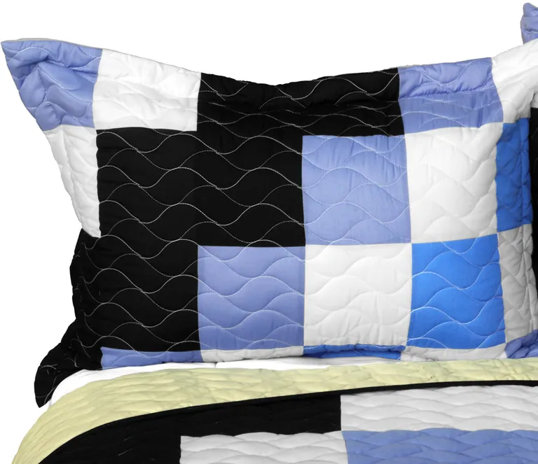Same Memory - 3PC Vermicelli - Quilted Patchwork Quilt Set (Full/Queen Size) Photo 2