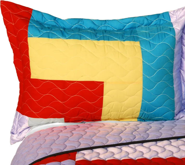 Second Space - 3PC Vermicelli - Quilted Patchwork Quilt Set (Full/Queen Size) Photo 2