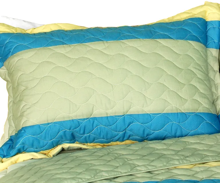Secrets Of Life - 3PC Vermicelli-Quilted Patchwork Quilt Set (Full/Queen Size) Photo 1