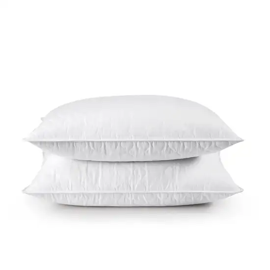 Set of 2 Machine Washable Down Feather Blend Pillow in Standard/Queen size Photo 1