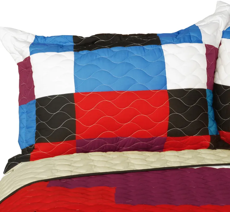 Shinning - 3PC Vermicelli - Quilted Patchwork Quilt Set (Full/Queen Size) Photo 2