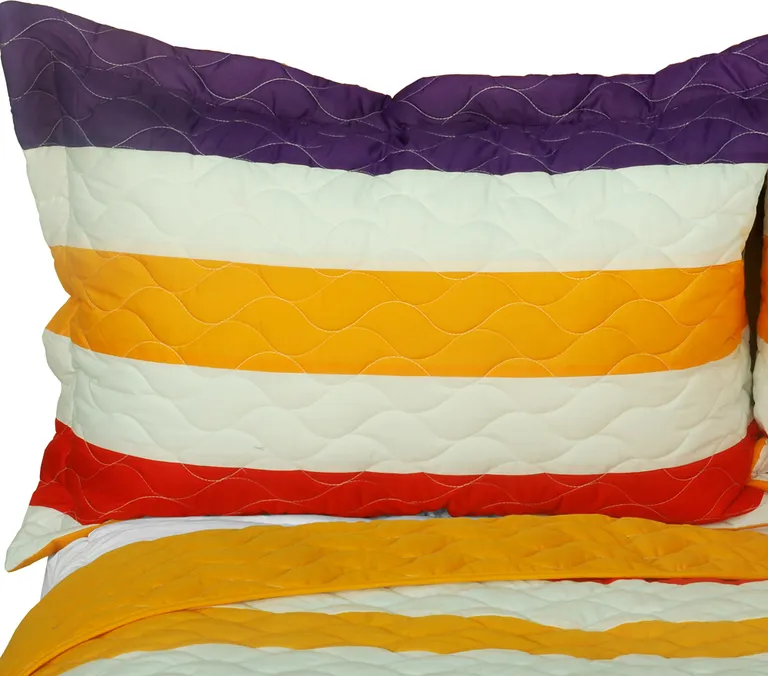 Spoken Word - 3PC Vermicelli-Quilted Patchwork Quilt Set (Full/Queen Size) Photo 2