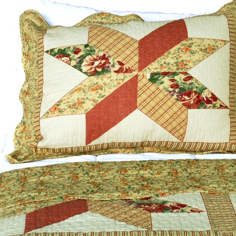 Star in My Heart - Cotton 3PC Vermicelli-Quilted Patchwork Quilt Set (Full/Queen Size) Photo 2