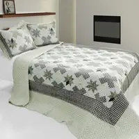 Photo of Starry Sky - 3PC Cotton Vermicelli-Quilted Printed Quilt Set (Full/Queen Size)