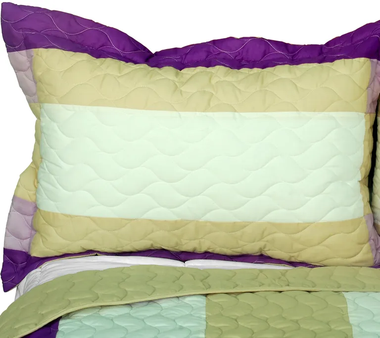 Waves Of Rays - 3PC Vermicelli-Quilted Patchwork Quilt Set (Full/Queen Size) Photo 2